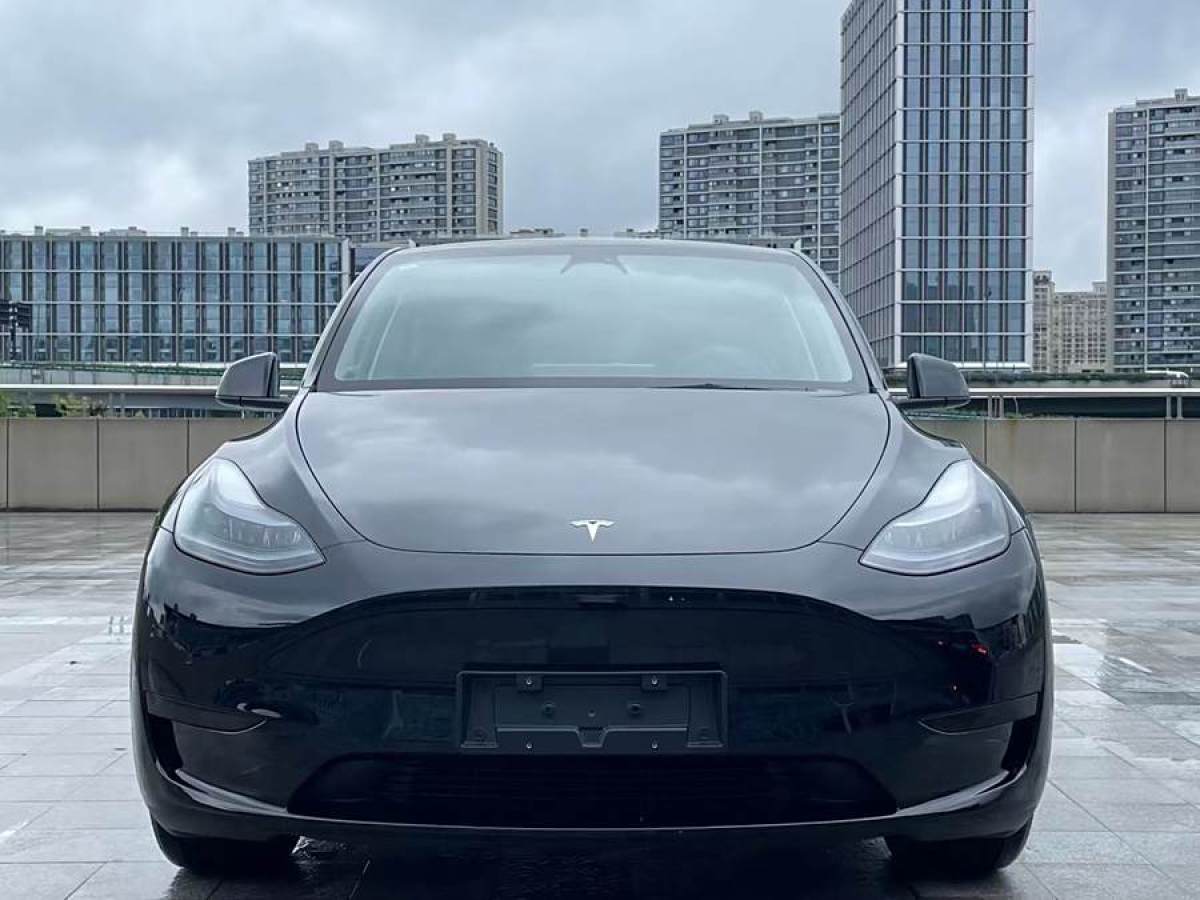 特斯拉 Model 3  2020款 改款 長續(xù)航后輪驅(qū)動版圖片