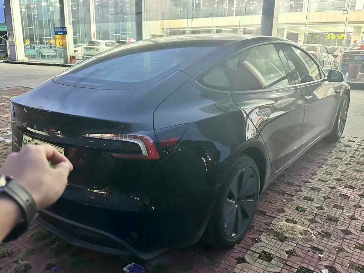 特斯拉 Model Y  2025款 后輪驅(qū)動 首發(fā)版圖片