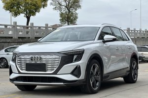 奥迪Q5 e-tron 奥迪 40 e-tron 星耀型 锦衣套装