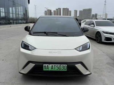 2024年1月 比亞迪 海獅07 EV 550標(biāo)準(zhǔn)版圖片