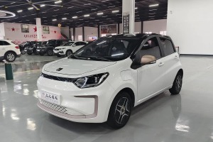 思皓E10X 思皓 花仙子款 四葉草