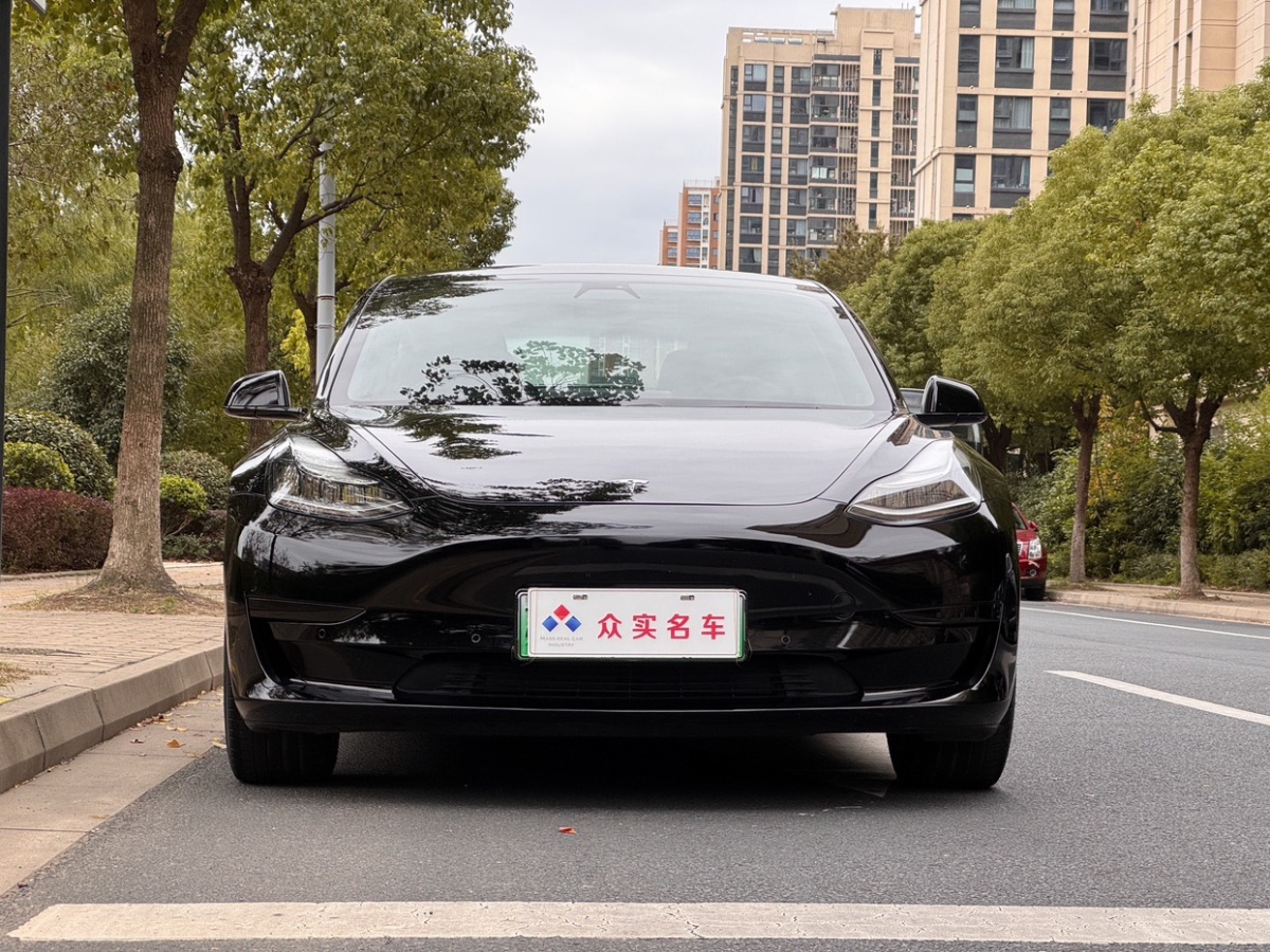 特斯拉 Model 3  2019款 標(biāo)準(zhǔn)續(xù)航后驅(qū)升級(jí)版圖片