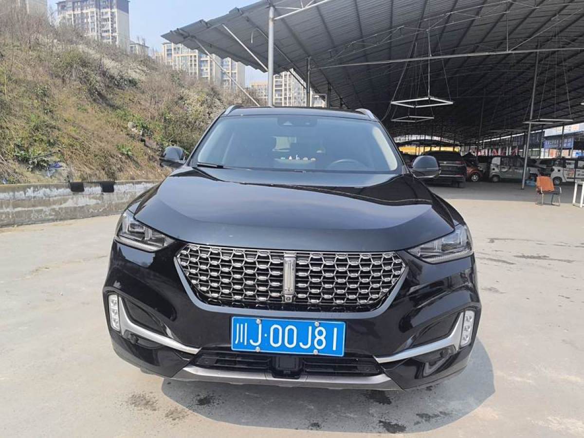 WEY VV6  2020款 2.0T 兩驅(qū)智護+圖片