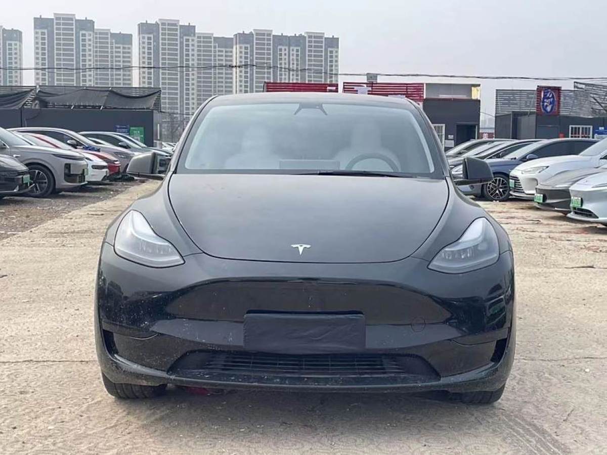 特斯拉 Model 3  2020款 改款 長續(xù)航后輪驅(qū)動版圖片