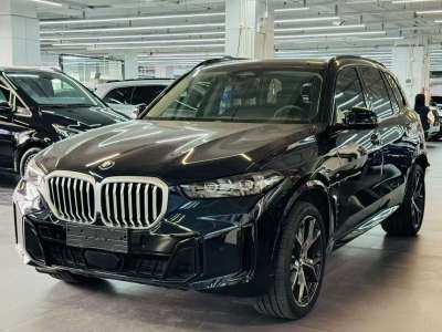 2024年6月 宝马 宝马X5 xDrive 30Li 尊享型M运动曜夜套装图片