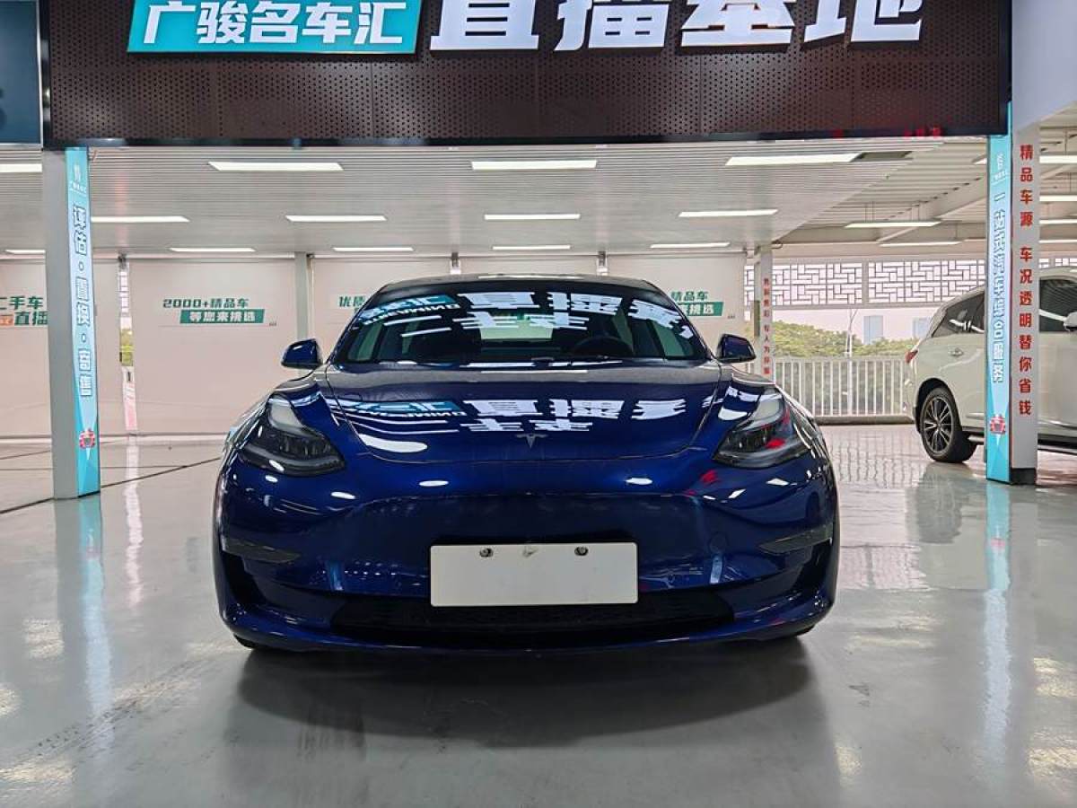 特斯拉 Model Y  2021款 Performance高性能全輪驅(qū)動(dòng)版圖片