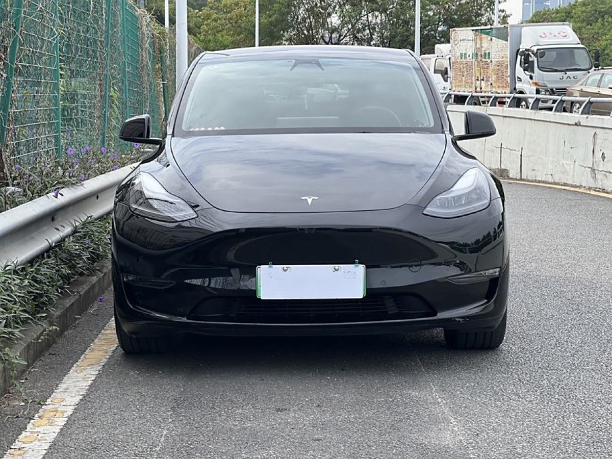 特斯拉 Model Y  2021款 改款 長續(xù)航全輪驅(qū)動(dòng)版圖片