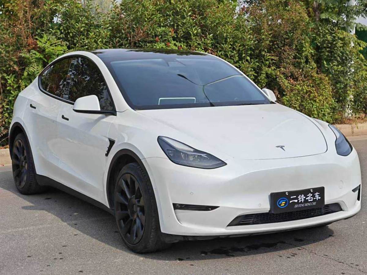 特斯拉 Model Y  2022款 改款 長(zhǎng)續(xù)航全輪驅(qū)動(dòng)版圖片