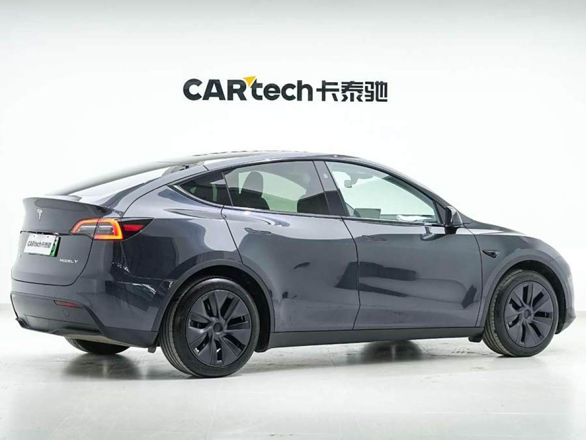 2024年5月特斯拉 Model Y  2020款 改款 長續(xù)航后輪驅(qū)動版