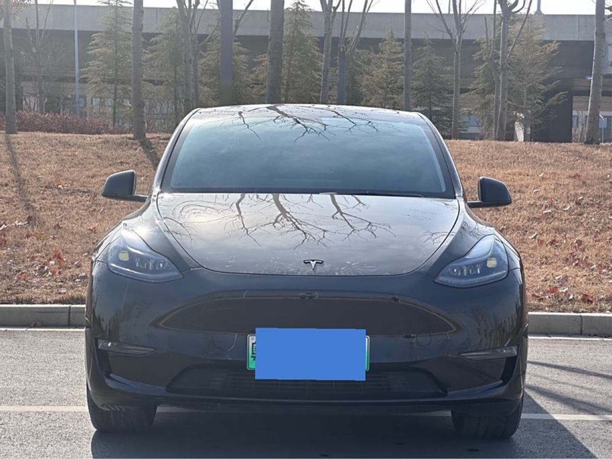 特斯拉 Model 3  2021款 改款 標(biāo)準(zhǔn)續(xù)航后驅(qū)升級(jí)版圖片