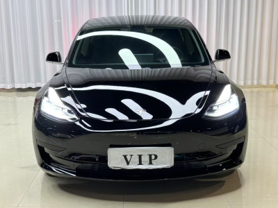 2021年03月 特斯拉 Model 3 改款 標(biāo)準(zhǔn)續(xù)航后驅(qū)升級(jí)版圖片