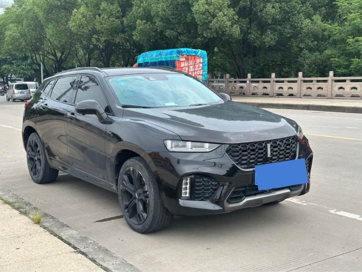 WEY VV7  2019款 升級(jí)款 2.0T 旗艦型圖片
