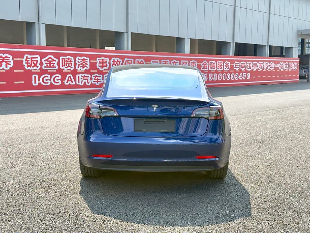 特斯拉 Model 3  2019款 長(zhǎng)續(xù)航后驅(qū)版圖片