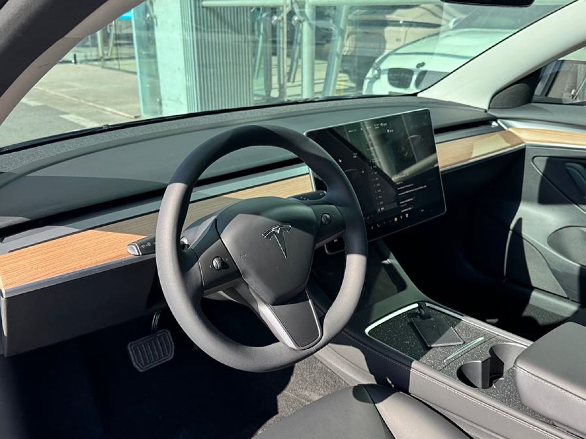 特斯拉 Model Y  2022款 改款 后輪驅(qū)動版圖片