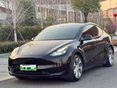 2022年3月 特斯拉 Model 3 后輪驅(qū)動(dòng)版圖片