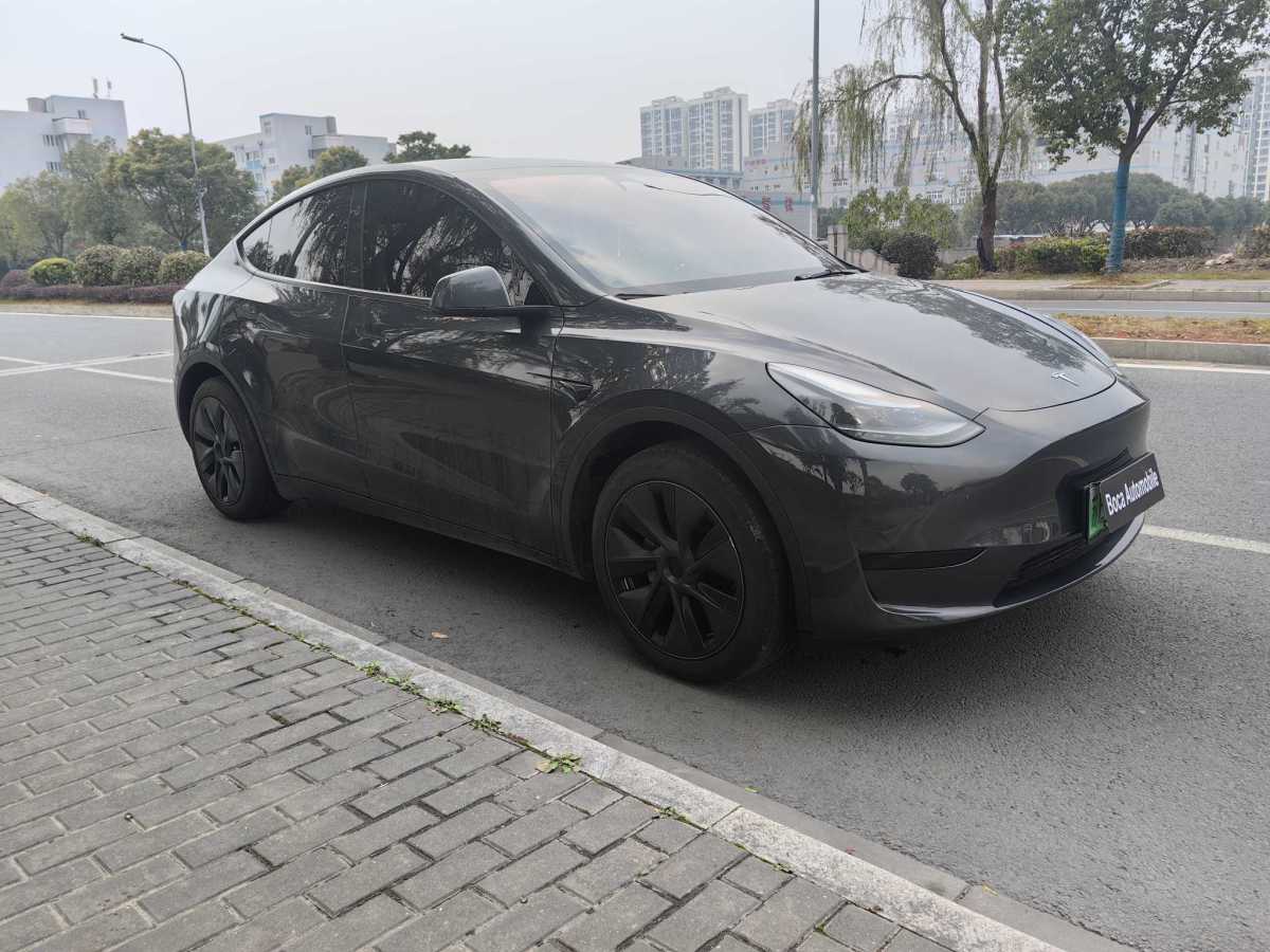 特斯拉 Model 3  2020款 改款 長續(xù)航后輪驅(qū)動(dòng)版圖片