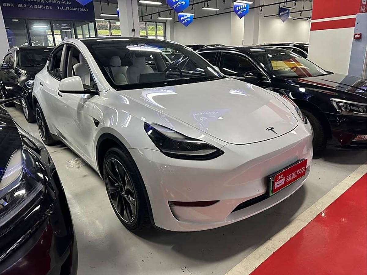 特斯拉 Model 3  2022款 Performance高性能全輪驅(qū)動(dòng)版圖片