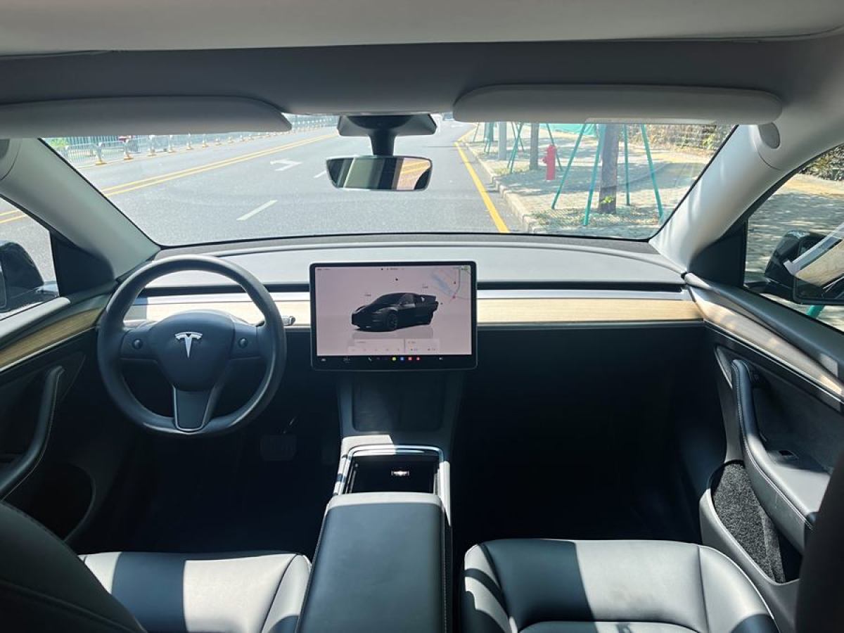 特斯拉 Model Y  2020款 改款 長續(xù)航后輪驅(qū)動(dòng)版圖片