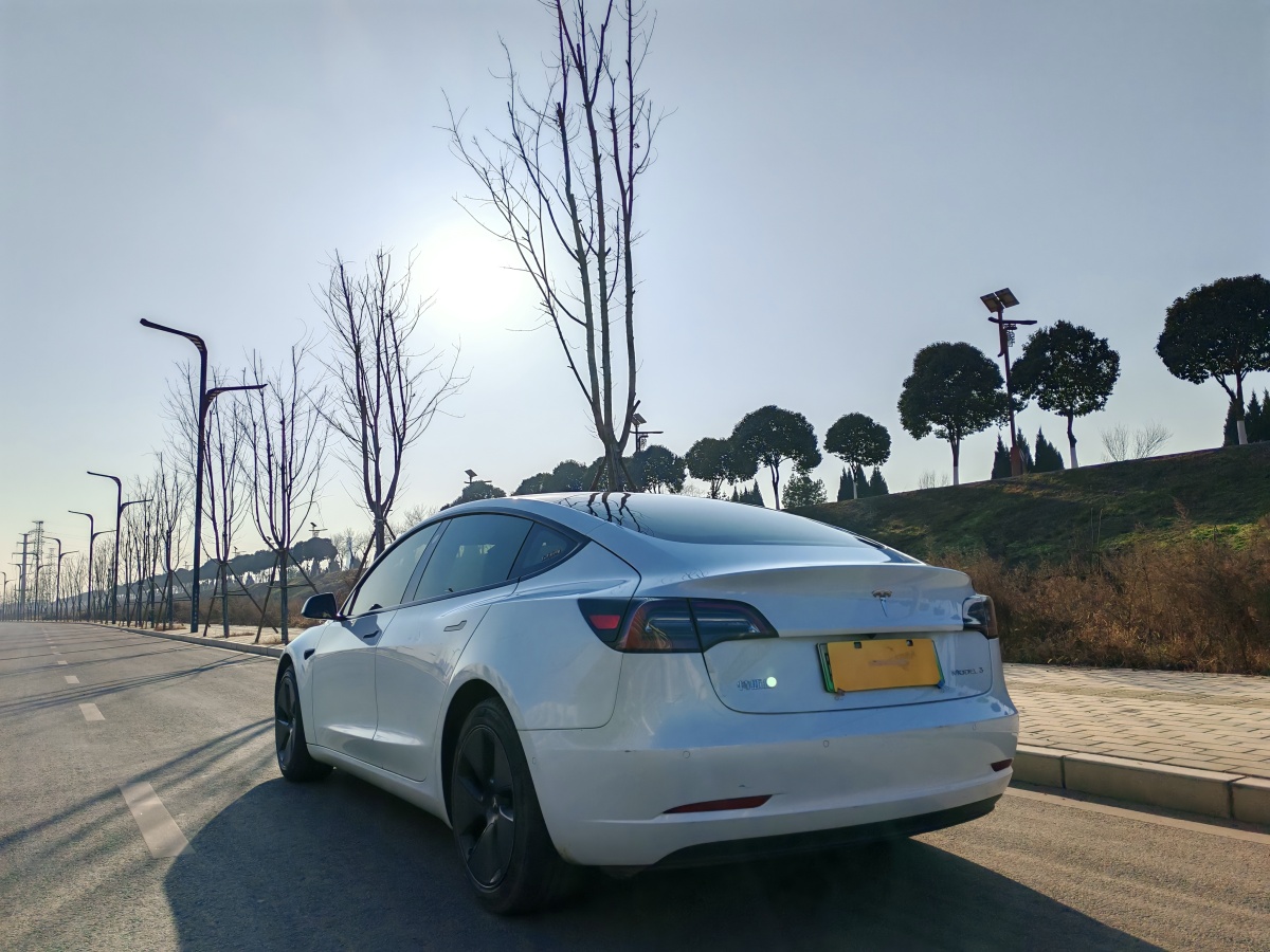 特斯拉 Model 3  2019款 標(biāo)準(zhǔn)續(xù)航后驅(qū)升級版圖片