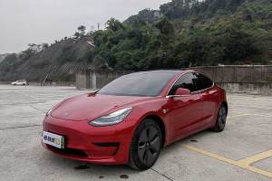 Model 3 特斯拉 标准续航后驱升级版