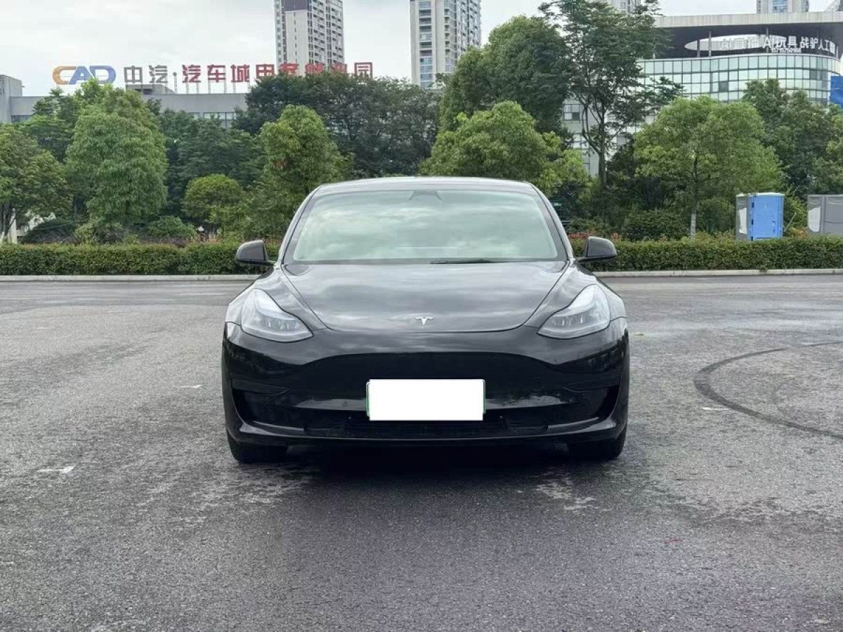 特斯拉 Model 3  2021款 改款 標(biāo)準(zhǔn)續(xù)航后驅(qū)升級版圖片