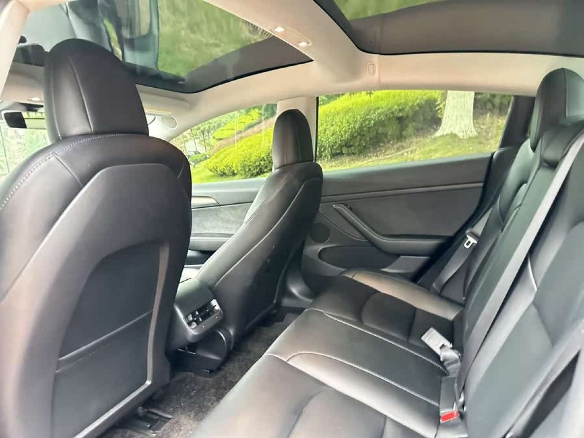特斯拉 Model 3  2022款 后輪驅(qū)動(dòng)版圖片
