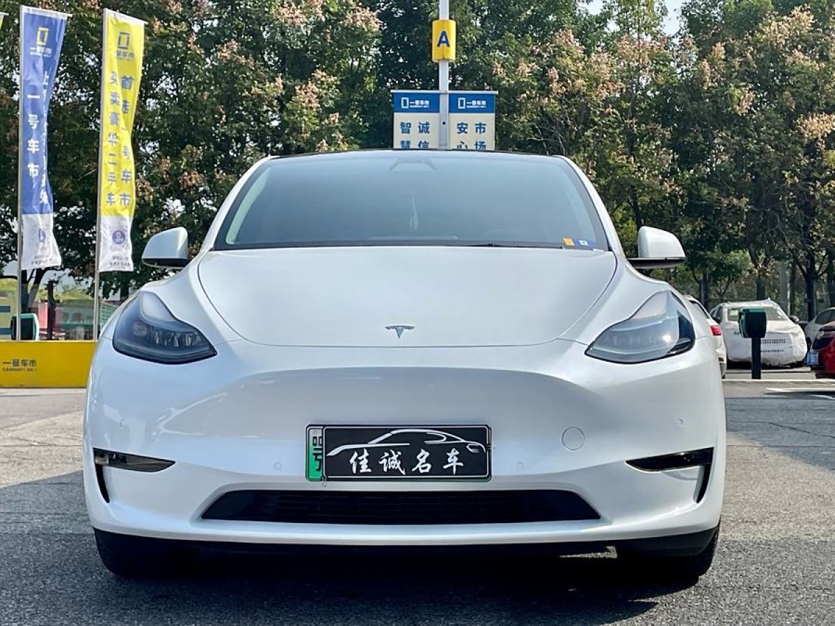 特斯拉 Model 3  2022款 Performance高性能全輪驅(qū)動(dòng)版圖片