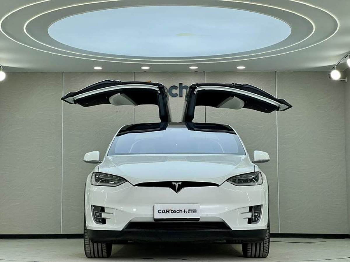 特斯拉 Model X  2020款 長(zhǎng)續(xù)航升級(jí)版圖片