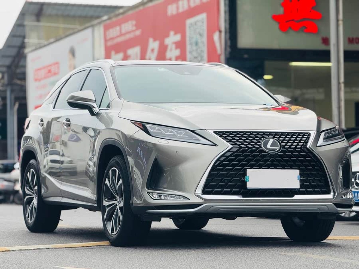 雷克薩斯 RX  2021款 300 四驅(qū)特別版圖片