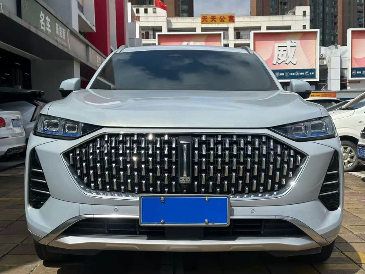 長(zhǎng)城 摩卡  2021款 2.0T 兩驅(qū)特醇版圖片