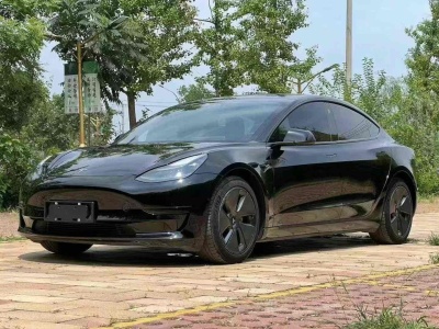 2023年5月 特斯拉 Model 3 改款 后輪驅(qū)動版圖片