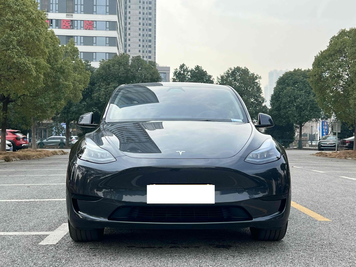 特斯拉 Model 3  2020款 改款 長續(xù)航后輪驅(qū)動版圖片