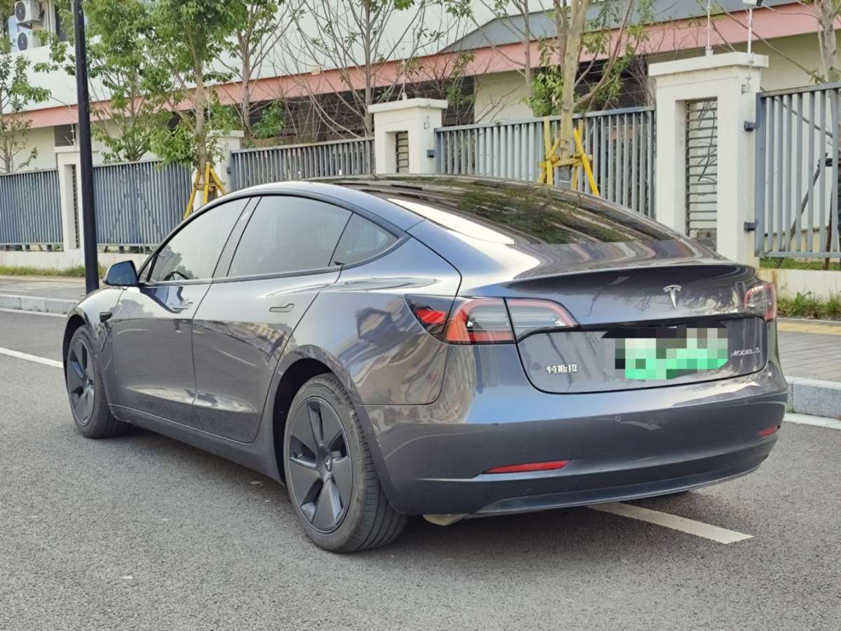 特斯拉 Model 3  2021款 標(biāo)準(zhǔn)續(xù)航后驅(qū)升級(jí)版 3D6圖片