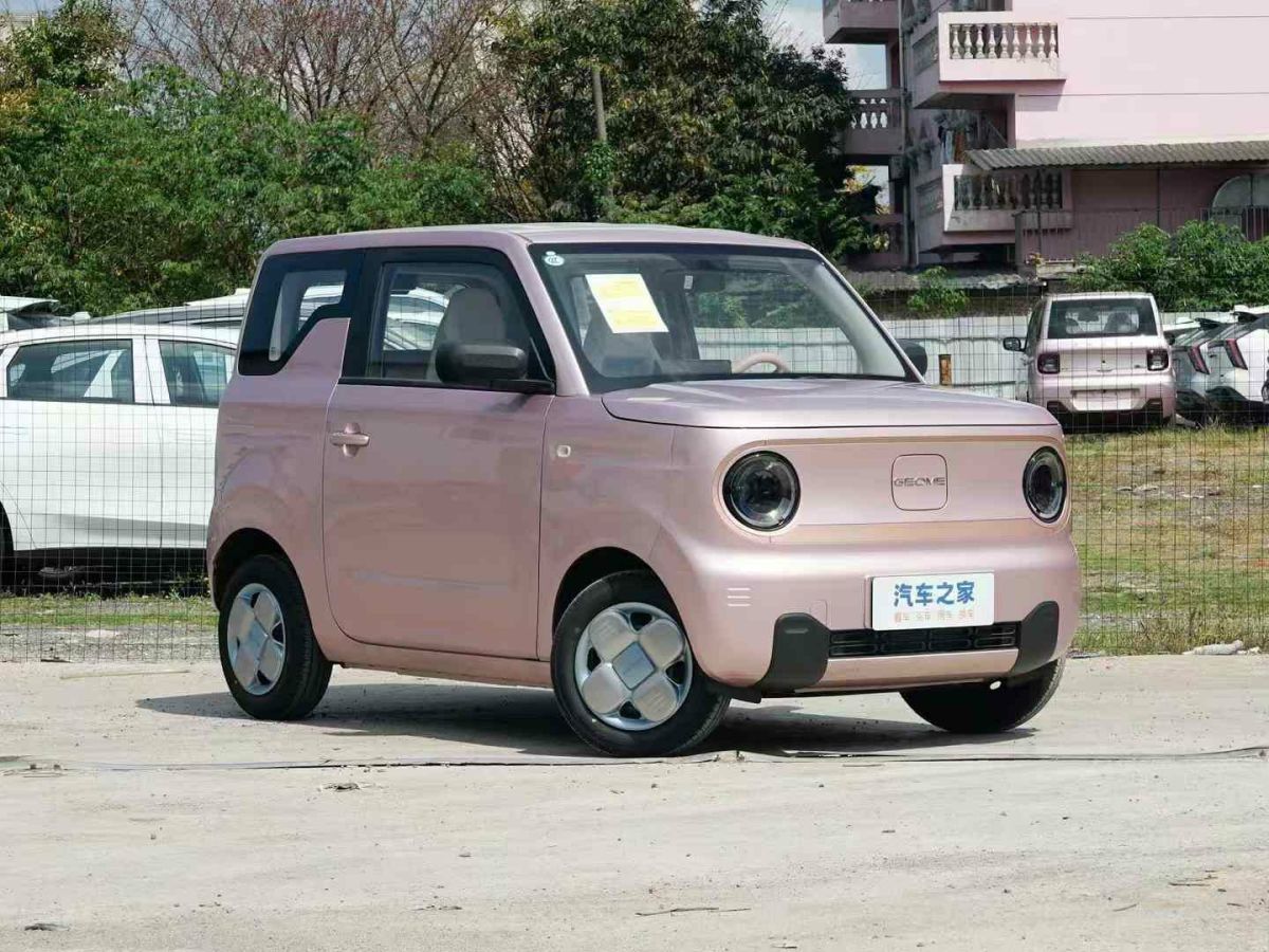 吉利 熊貓mini  2024款 200km 熊貓騎士圖片