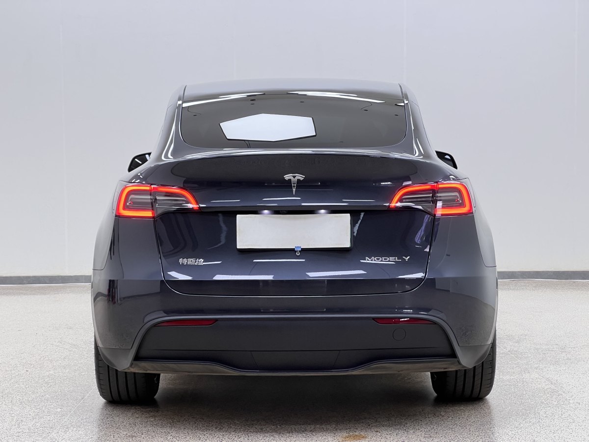 特斯拉 Model Y  2020款 改款 長續(xù)航后輪驅(qū)動版圖片