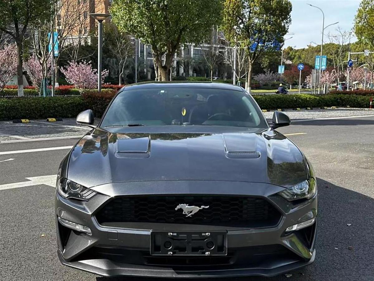 福特 Mustang  2019款 2.3L EcoBoost圖片