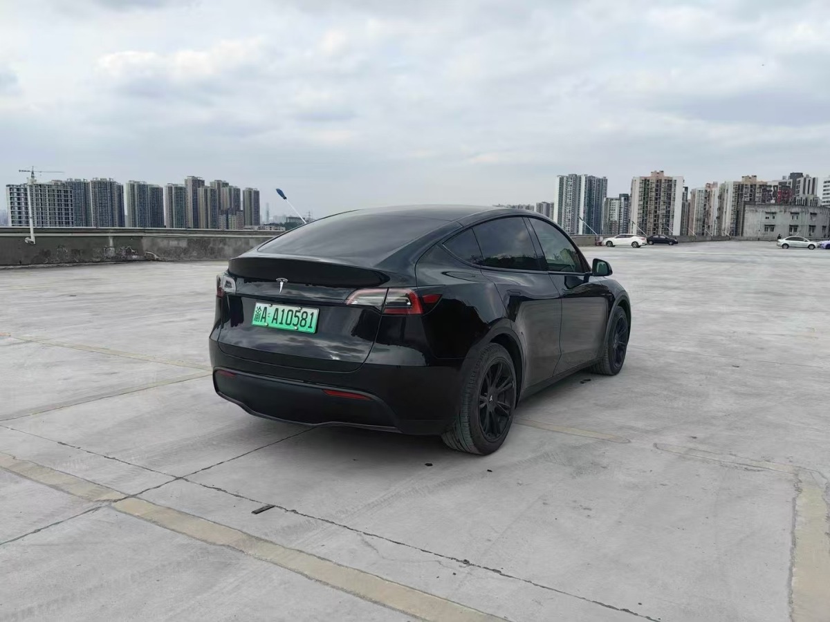 2023年3月特斯拉 Model Y 