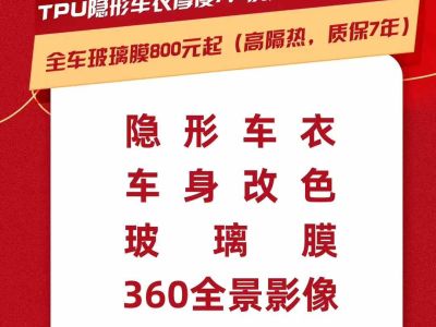 2025年1月 比亞迪 元 圖片