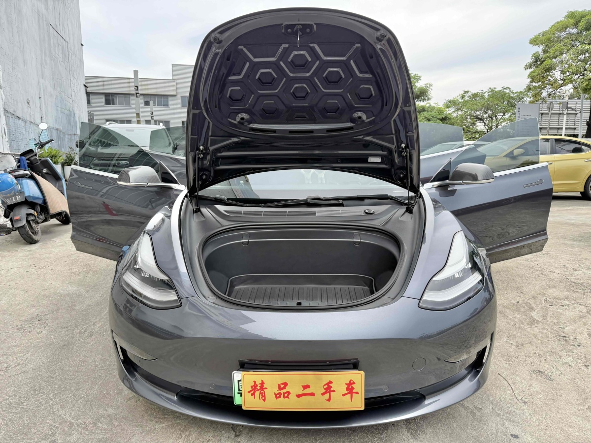 特斯拉 Model 3  2019款 長續(xù)航后驅(qū)版圖片
