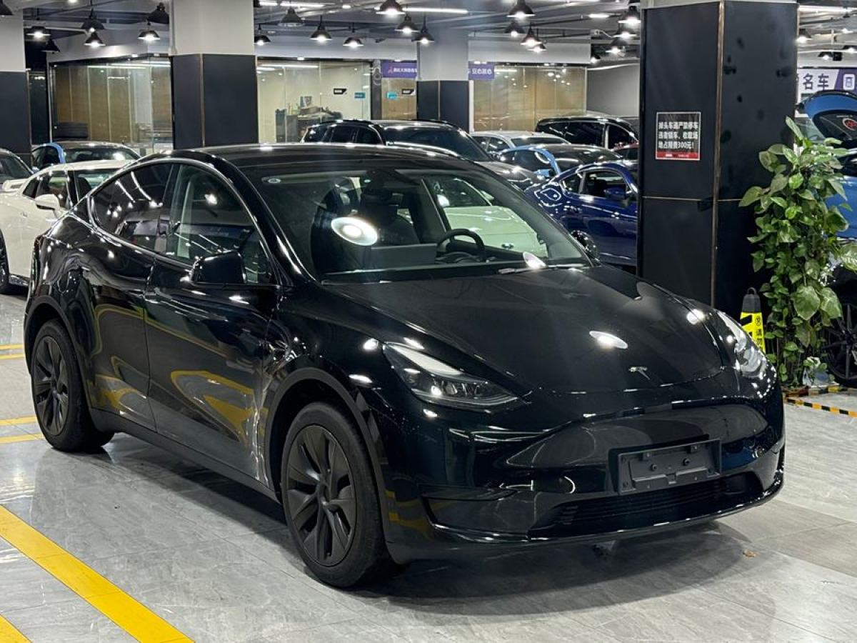 特斯拉 Model 3  2020款 改款 長(zhǎng)續(xù)航后輪驅(qū)動(dòng)版圖片