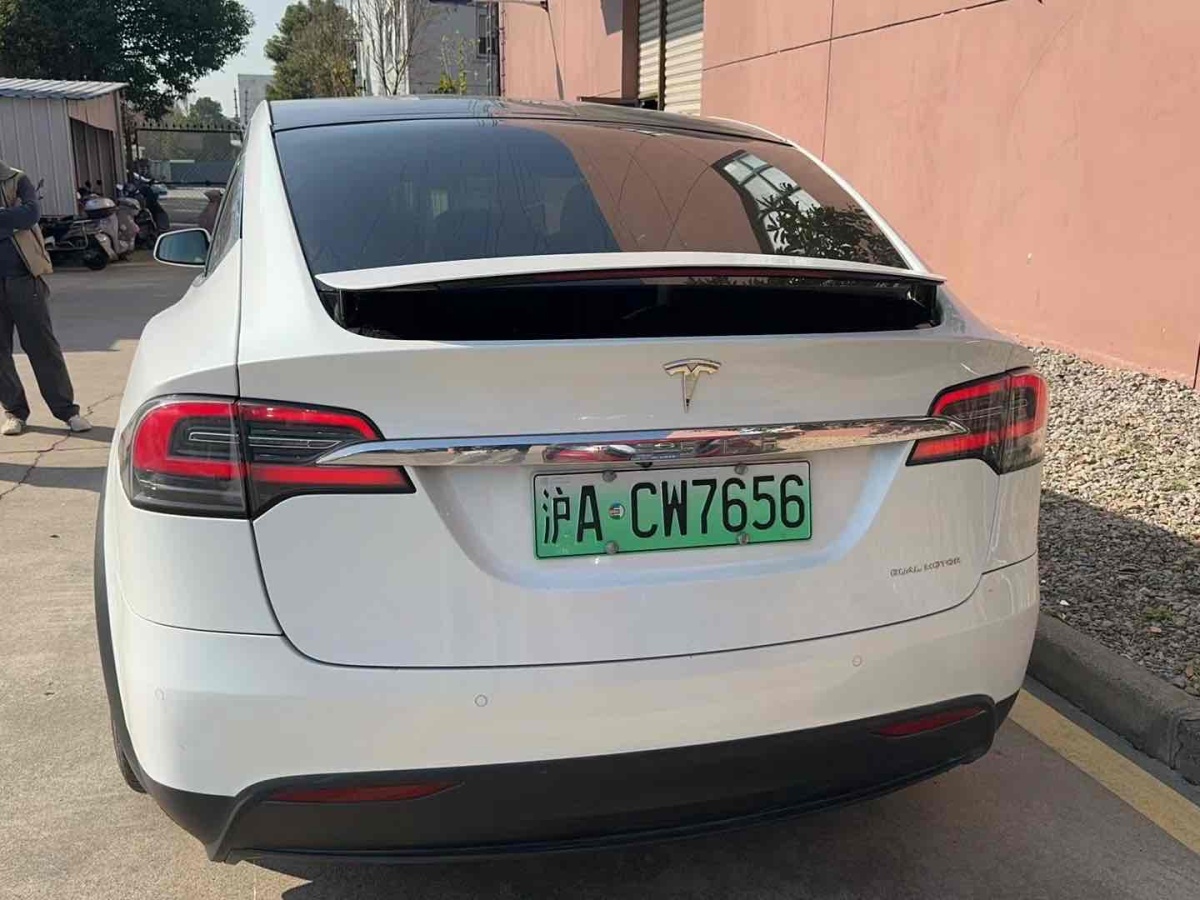 特斯拉 Model X  2019款 長續(xù)航版圖片