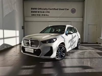 2023年11月 寶馬 寶馬iX1 xDrive30L X設(shè)計(jì)套裝圖片