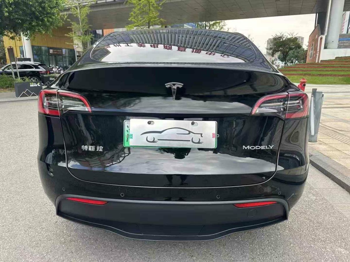 特斯拉 Model S  2023款 三電機(jī)全輪驅(qū)動(dòng) Plaid版圖片