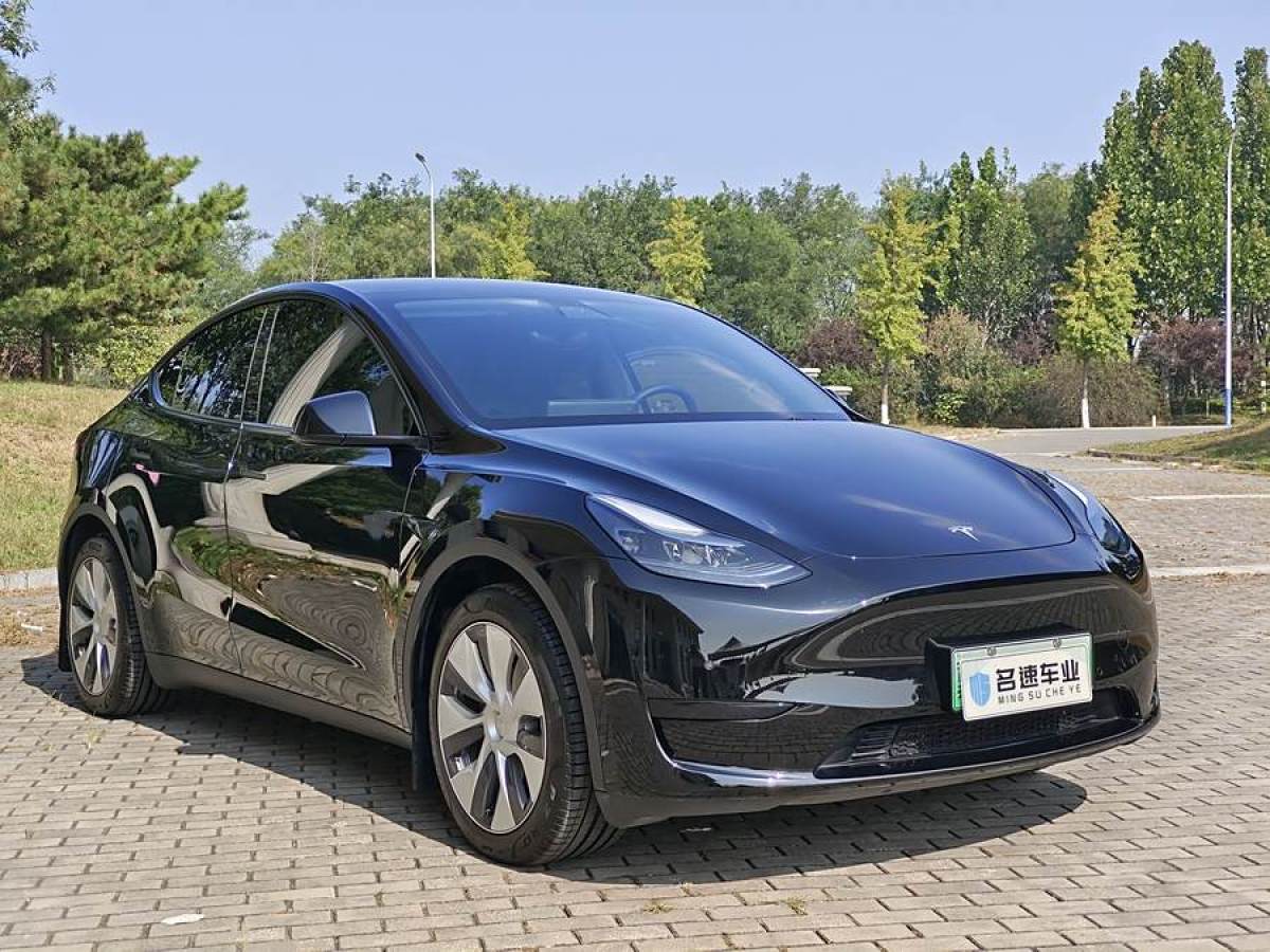 特斯拉 Model Y  2020款 改款 長(zhǎng)續(xù)航后輪驅(qū)動(dòng)版圖片