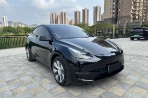 Model Y 特斯拉 標準續(xù)航后驅版