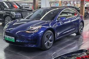 Model 3 特斯拉 标准续航后驱升级版