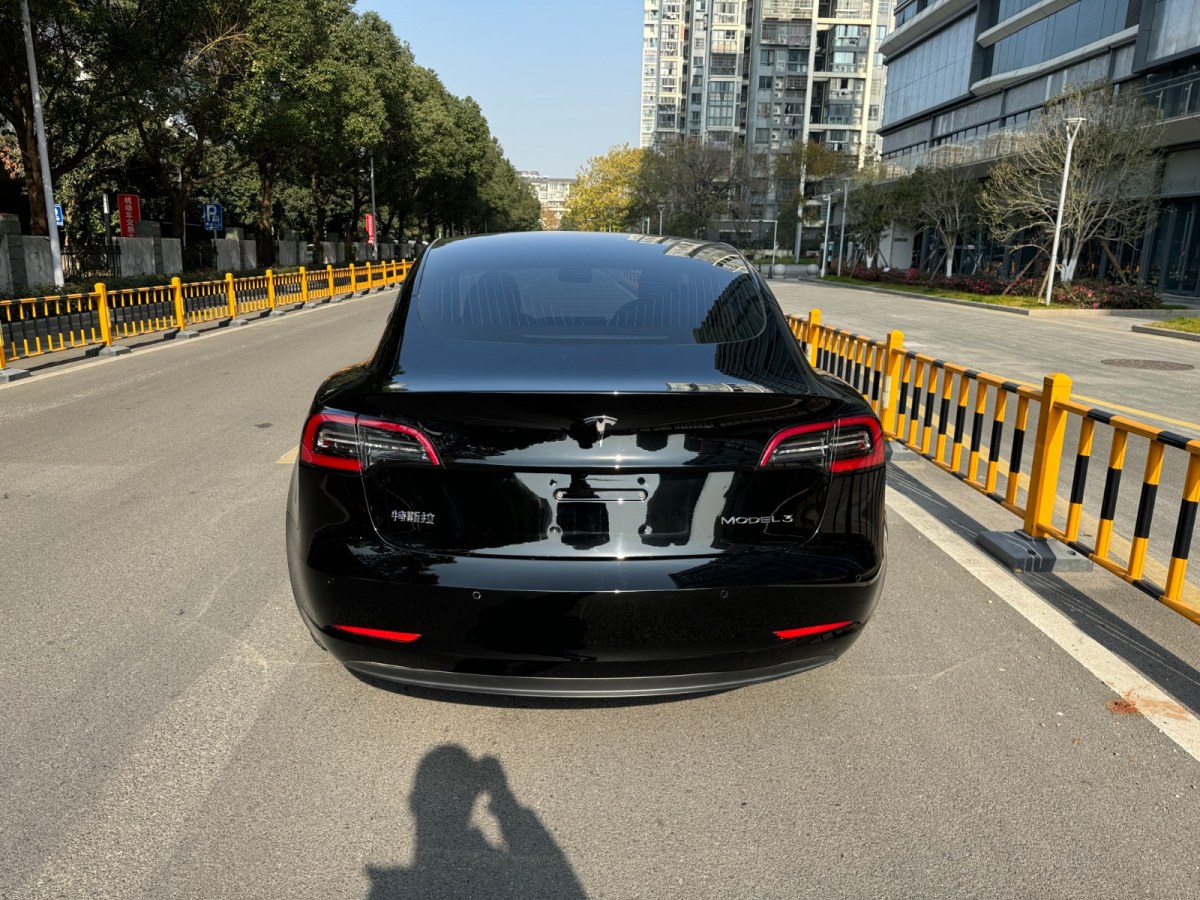 特斯拉 Model 3  2020款 標(biāo)準(zhǔn)續(xù)航后驅(qū)升級版圖片