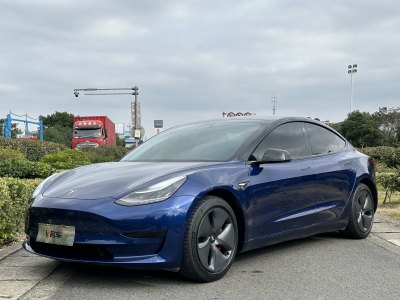 2020年9月 特斯拉 Model 3 标准续航后驱升级版图片