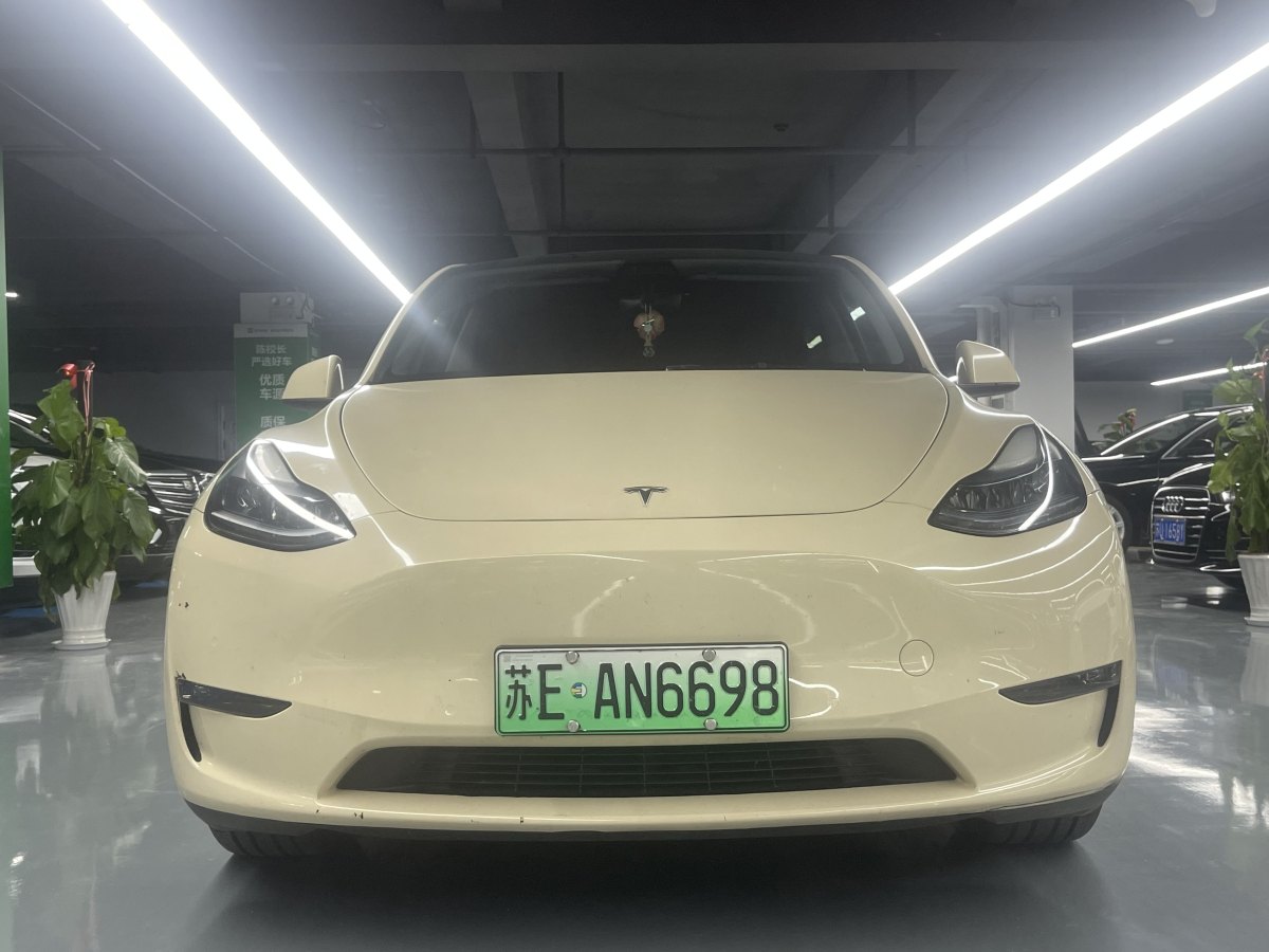 特斯拉 Model Y  2021款 改款 Performance高性能全輪驅(qū)動(dòng)版圖片