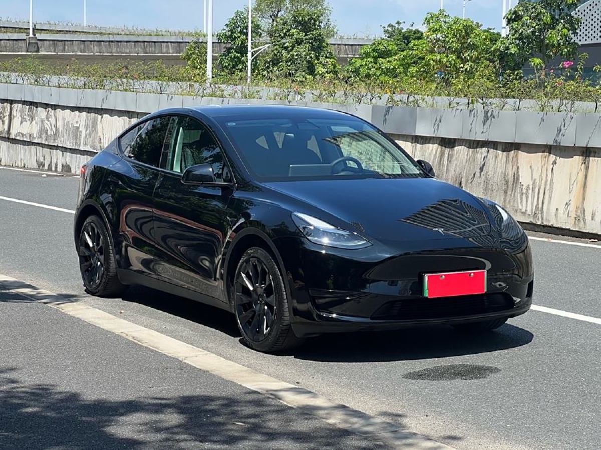 特斯拉 Model Y  2022款 后輪驅(qū)動版圖片